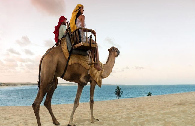 Genipabu Beach with optional Buggy ride - Photo 6